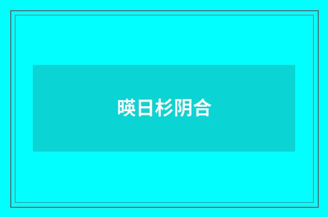 暎日杉阴合