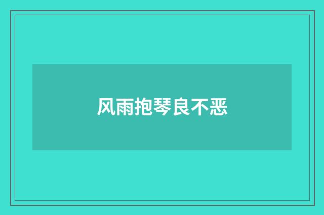 风雨抱琴良不恶