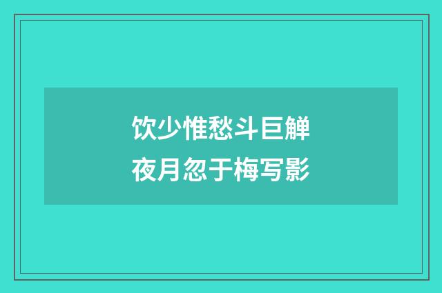 饮少惟愁斗巨觯夜月忽于梅写影