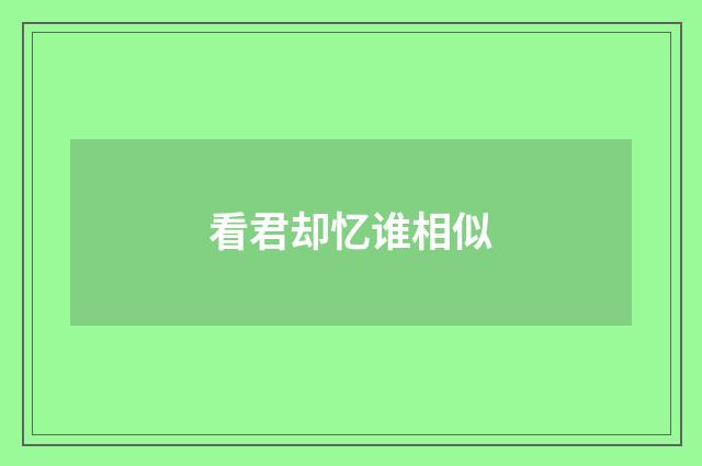 看君却忆谁相似