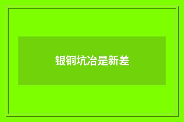银铜坑冶是新差