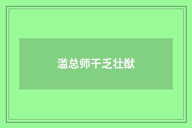 滥总师干乏壮猷