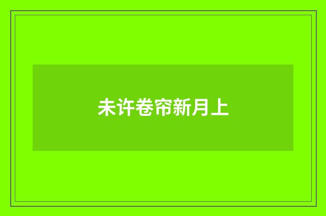 未许卷帘新月上
