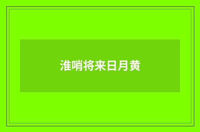 淮哨将来日月黄