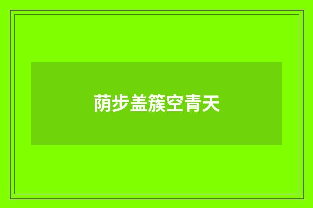 荫步盖簇空青天