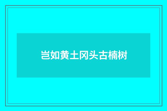 岂如黄土冈头古楠树