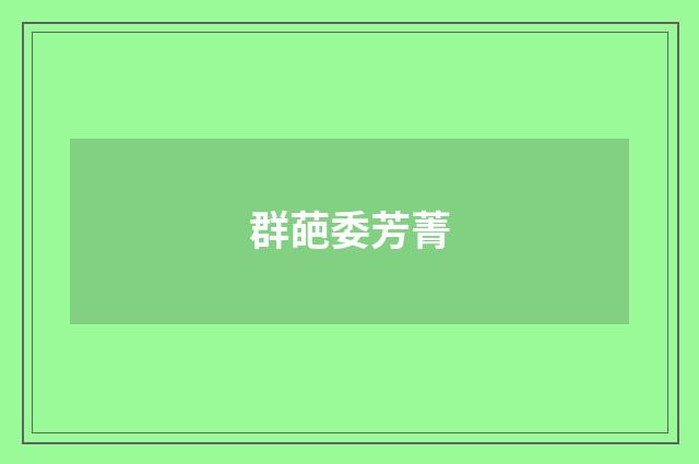 群葩委芳菁