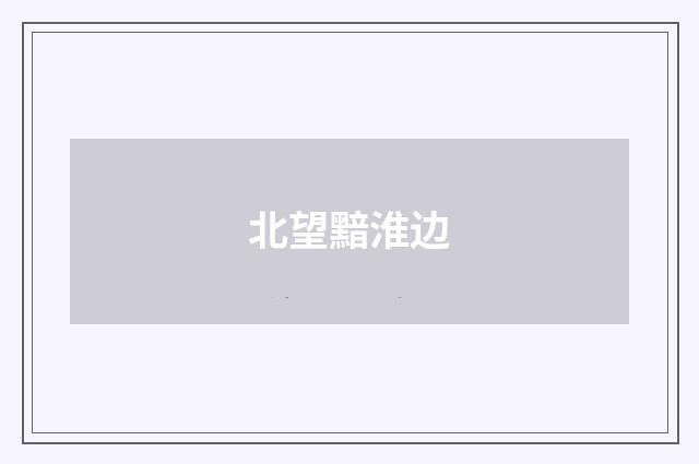 北望黯淮边