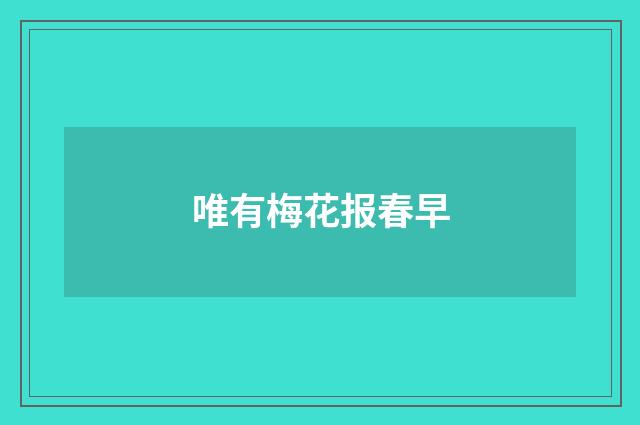 唯有梅花报春早