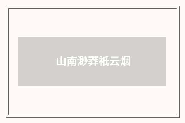 山南渺莽祇云烟