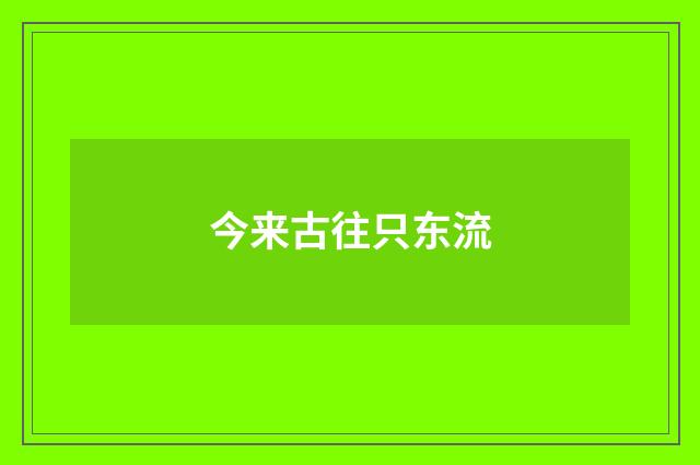 今来古往只东流