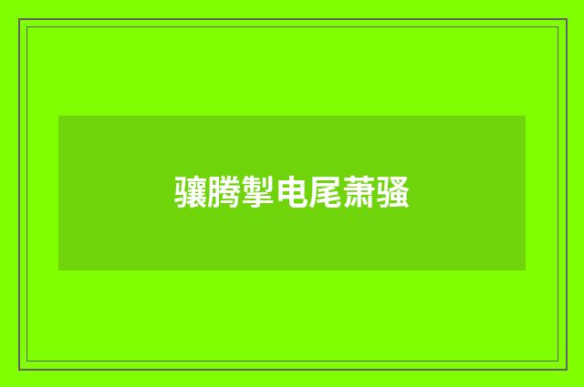 骧腾掣电尾萧骚