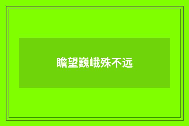 瞻望巍峨殊不远