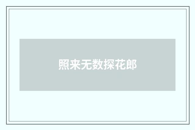 照来无数探花郎