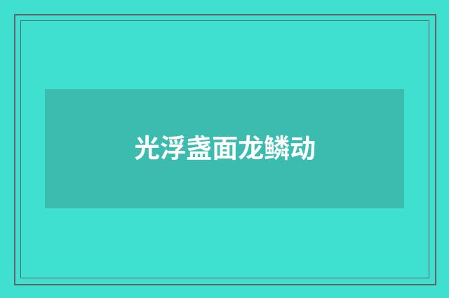光浮盏面龙鳞动