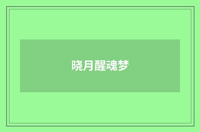 晓月醒魂梦