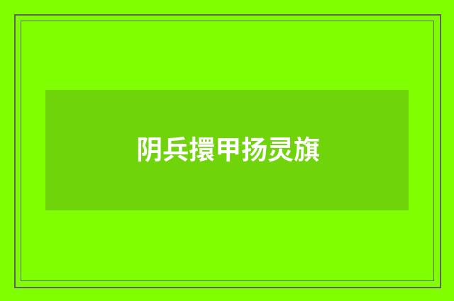 阴兵擐甲扬灵旗