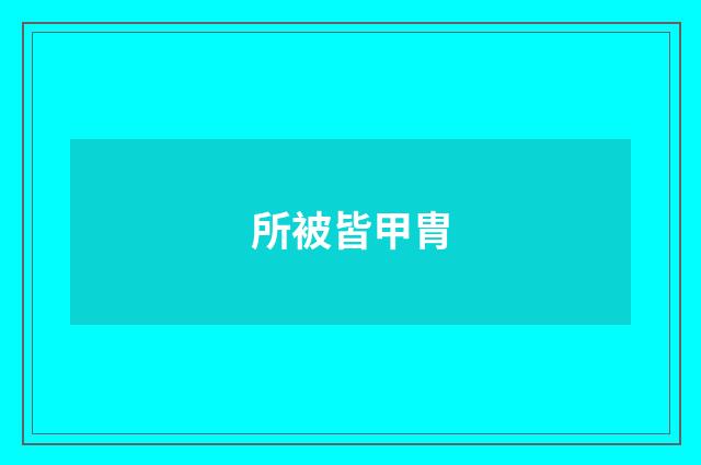 所被皆甲胄