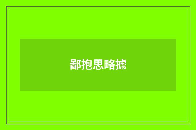 鄙抱思略摅