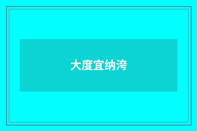 大度宜纳洿
