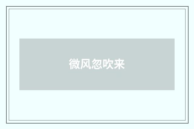 微风忽吹来