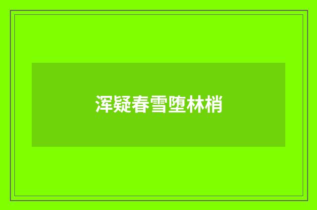 浑疑春雪堕林梢