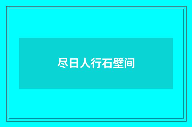 尽日人行石壁间