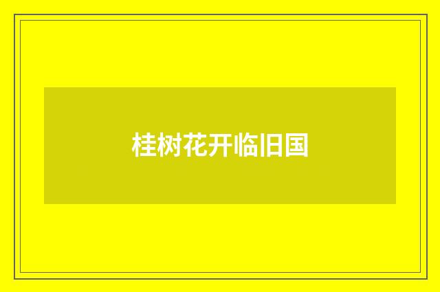 桂树花开临旧国