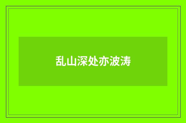 乱山深处亦波涛