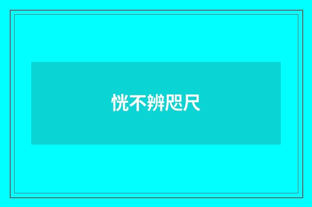 恍不辨咫尺