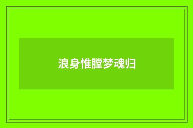 浪身惟膛梦魂归