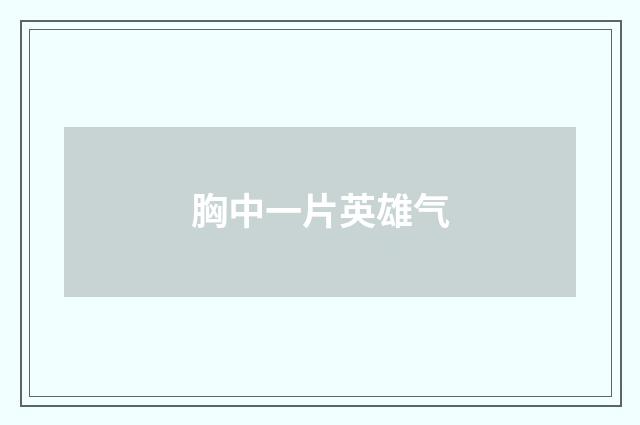 胸中一片英雄气