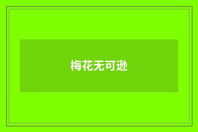梅花无可逊