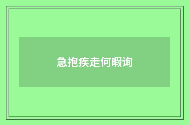 急抱疾走何暇询