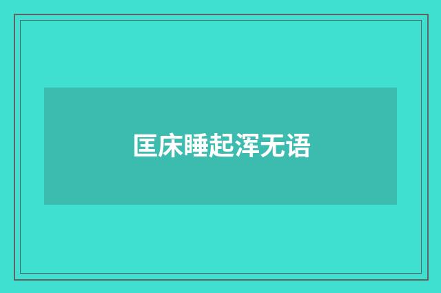 匡床睡起浑无语