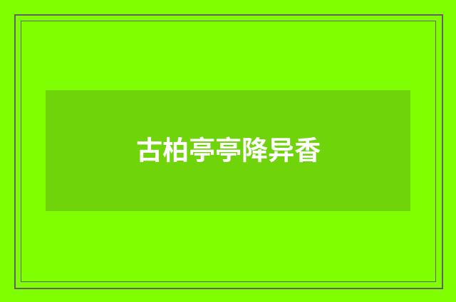 古柏亭亭降异香