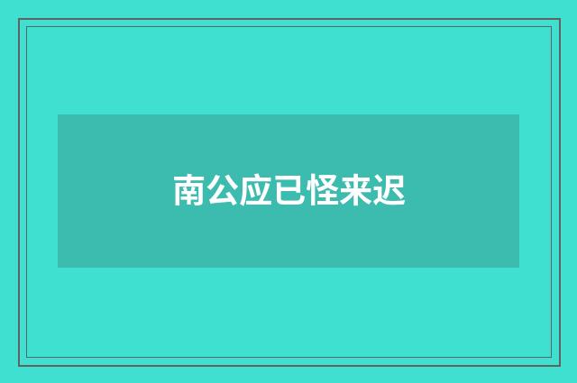 南公应已怪来迟