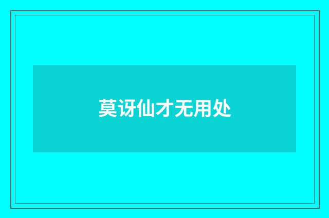 莫讶仙才无用处