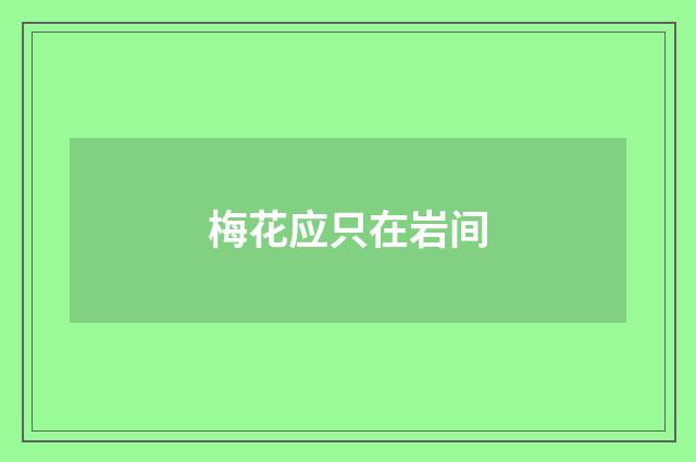 梅花应只在岩间