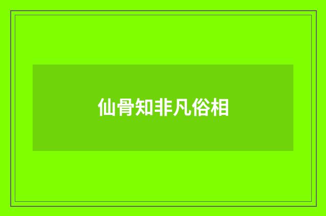 仙骨知非凡俗相