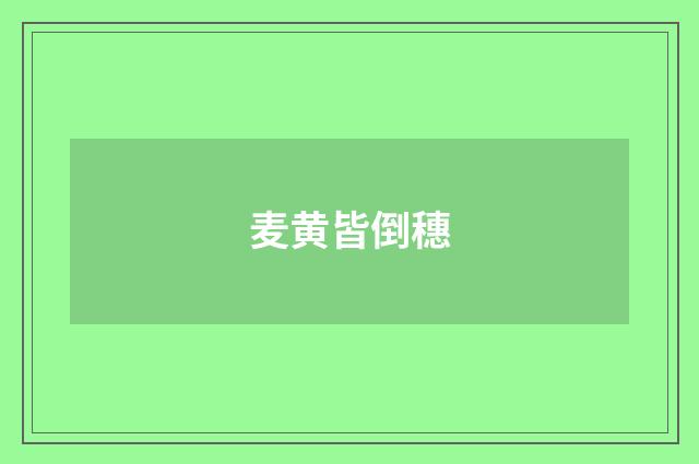 麦黄皆倒穗