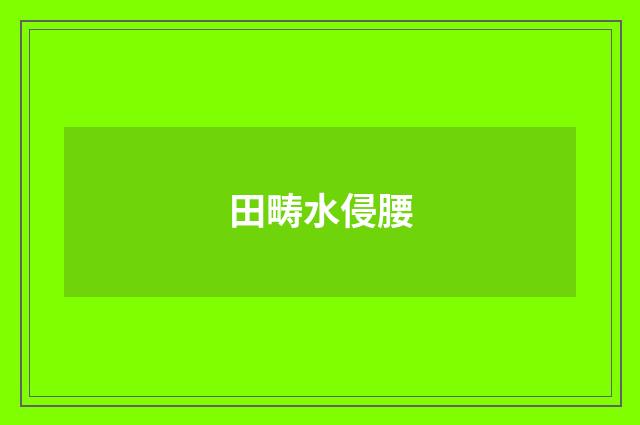田畴水侵腰