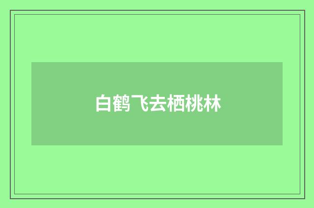 白鹤飞去栖桃林
