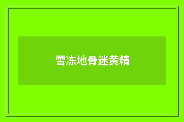雪冻地骨迷黄精