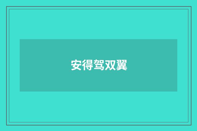 安得驾双翼