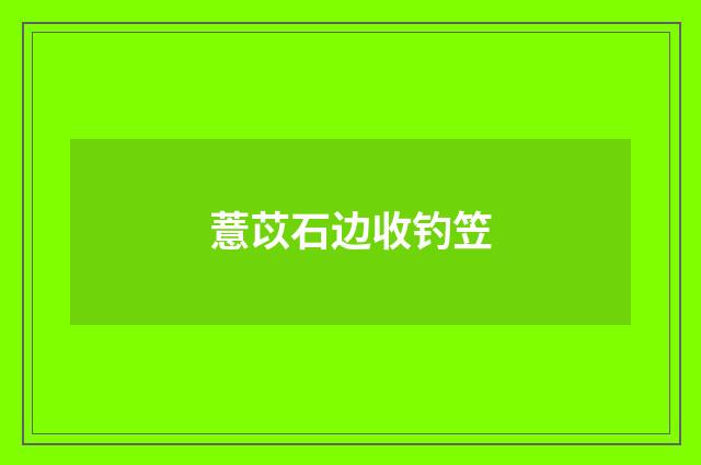 薏苡石边收钓笠