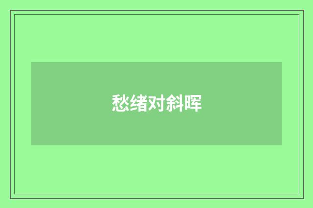 愁绪对斜晖