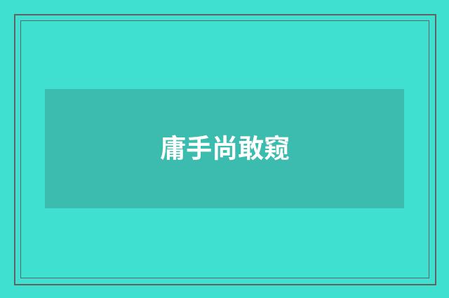 庸手尚敢窥