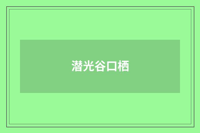 潜光谷口栖