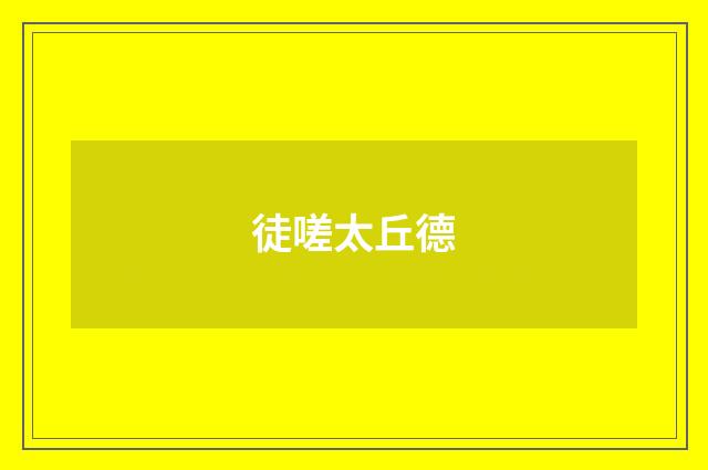 徒嗟太丘德